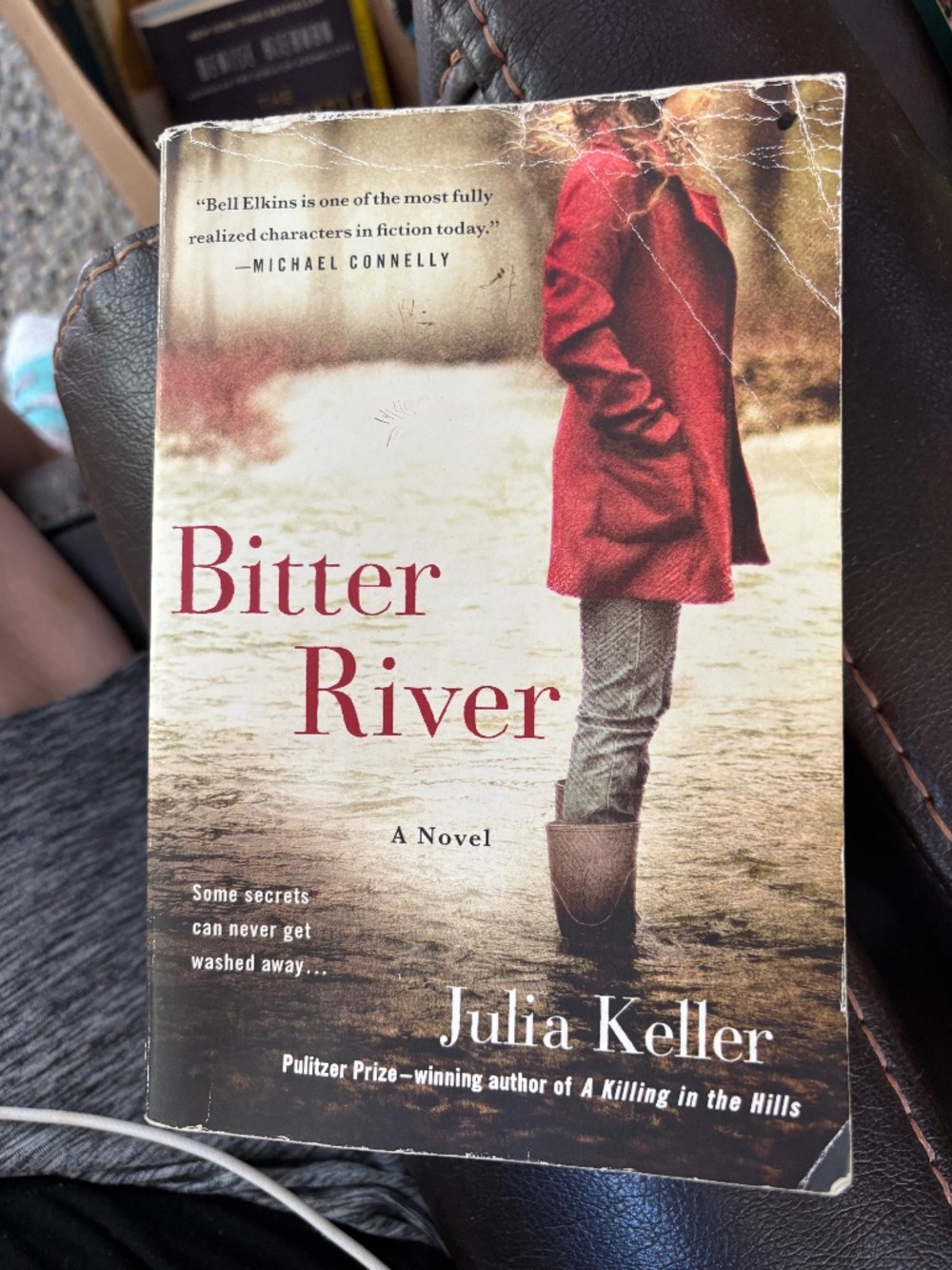 Bitter River, A Novel